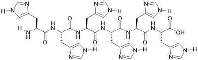 6×Su péptido
